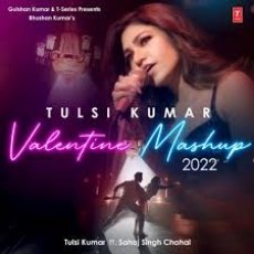 Tulsi Kumar Valentine Mashup 2022 Tulsi Kumar Valentine Mashup 2022